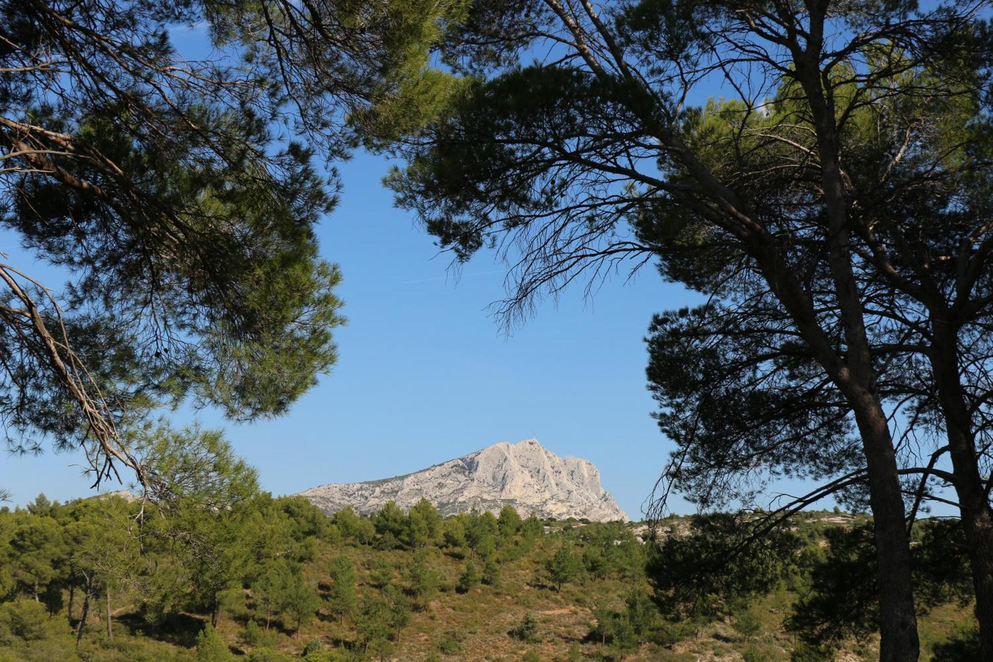 Studio Charmant Au Calme Aix-en-Provence Ngoại thất bức ảnh